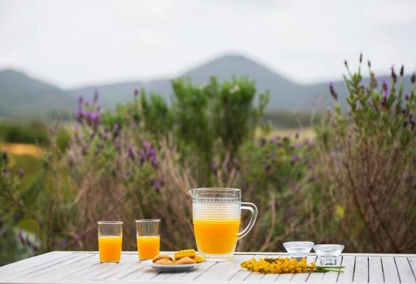 هتل روستایی Herdade Do Amarelo Nature & Spa