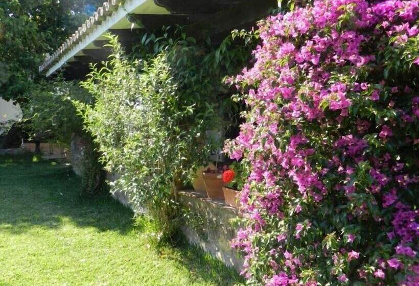 乡村酒店  Hosteria Labordalla