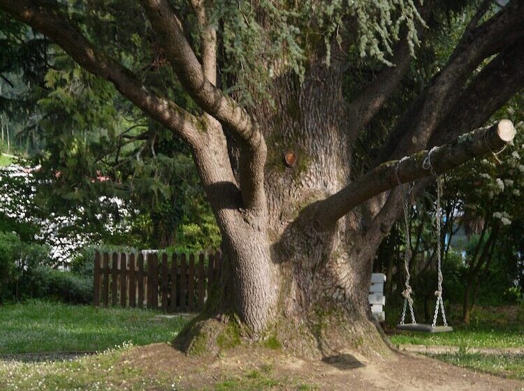 בית מלון כפרי Rural Isasi