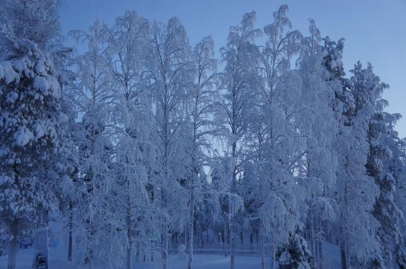 Отель Santa Claus Holiday Village