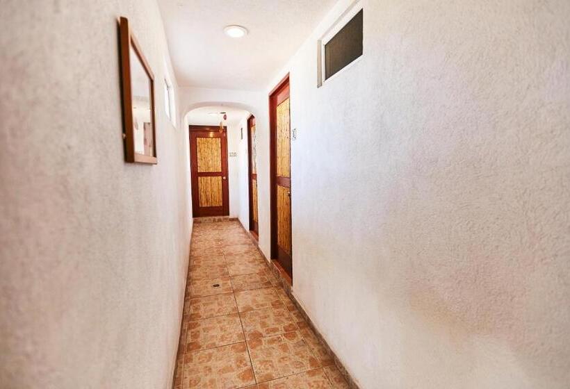 酒店 Suites Ixtapa Plaza