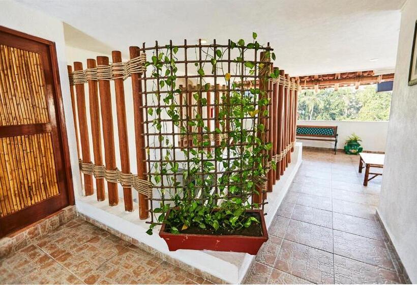 酒店 Suites Ixtapa Plaza