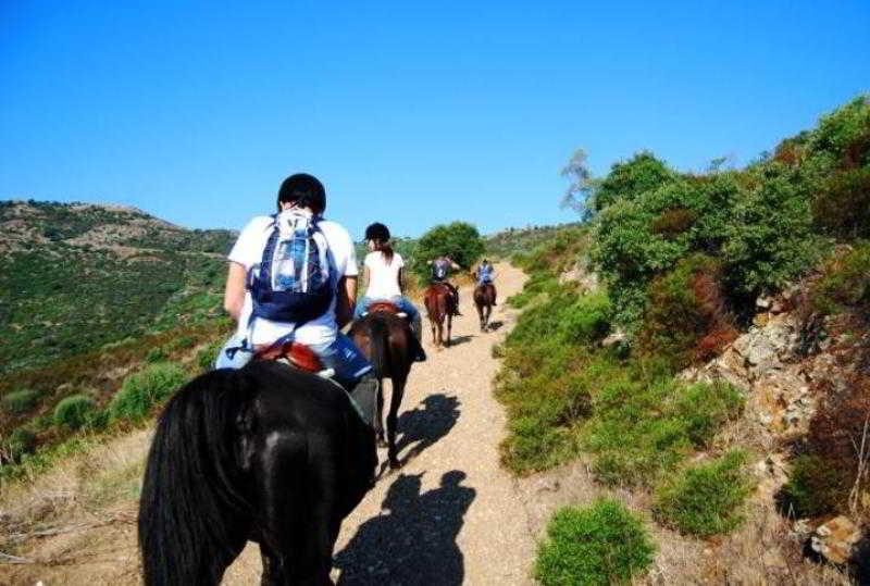 Residence Blue Corner Porto Pollo