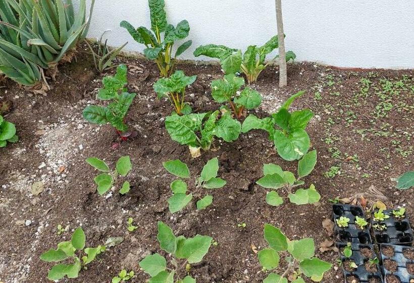 مبيت وإفطار Villa Bonita