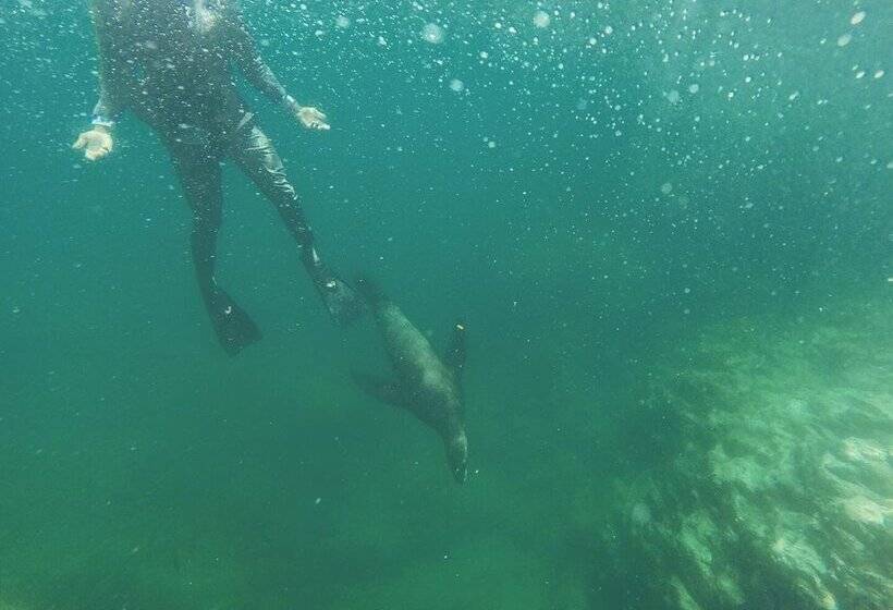 호텔 Hacienda De Nomadas   Hostel