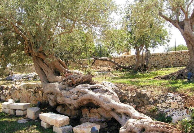 Agriturismo Serrafiori