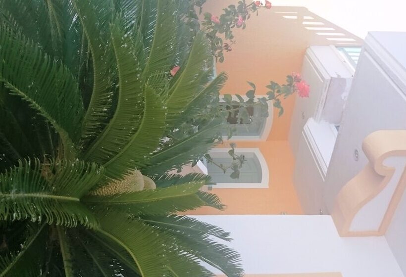 Amazones Sun Studios