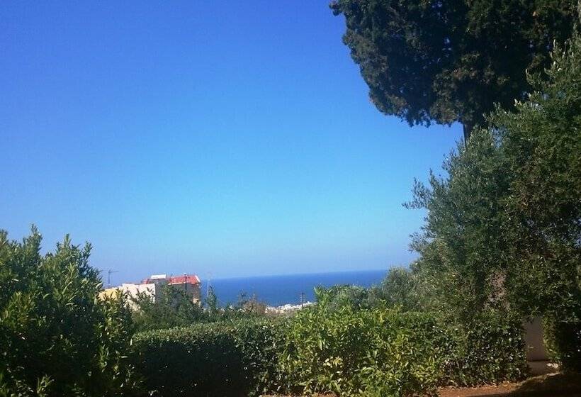 Amazones Sun Studios