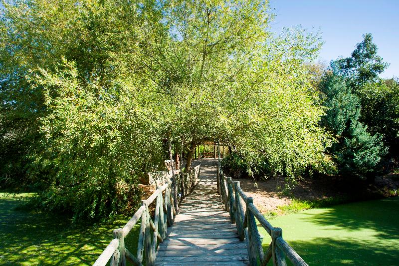 פונדק Moinho Do Alamo