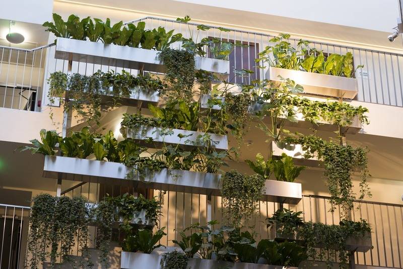 هتل Mana Suites & Sea