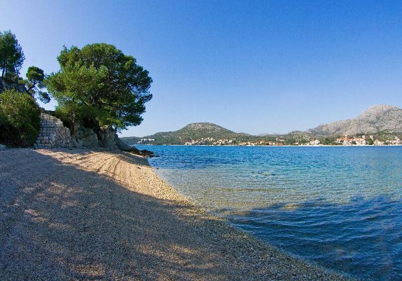 Отель Apartments Villa Riva