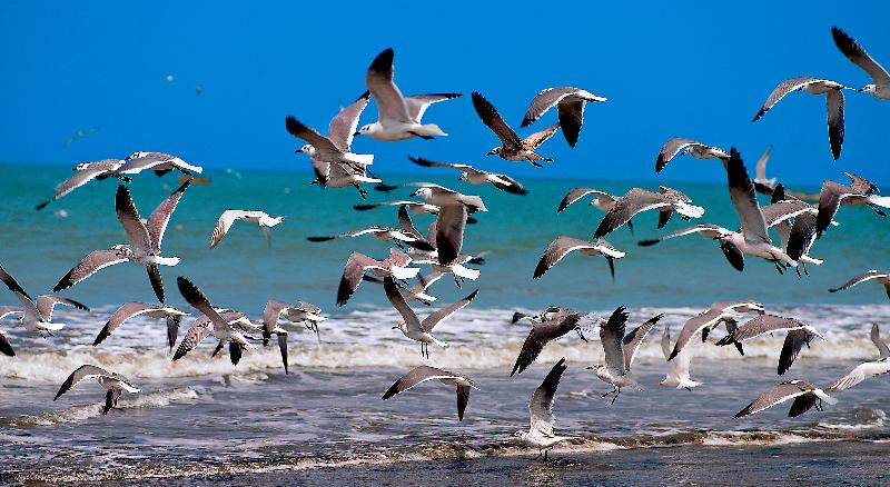 호텔 Aranwa Paracas Resort & Spa