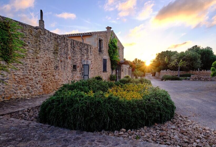 Bennoc Petit Hotel Only Adults