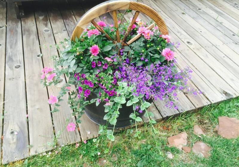 酒店 Broken Spur Inn & Steakhouse