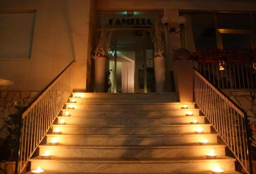 בית מלון כפרי Camelia