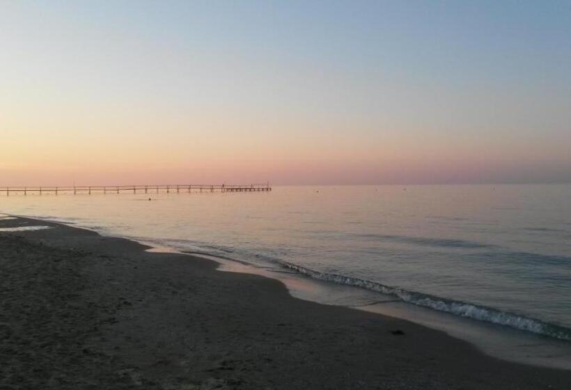 בית מלון כפרי Camelia