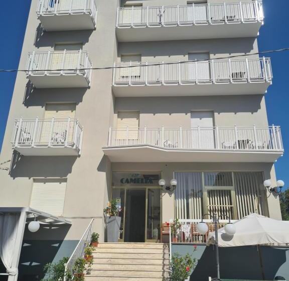 בית מלון כפרי Camelia