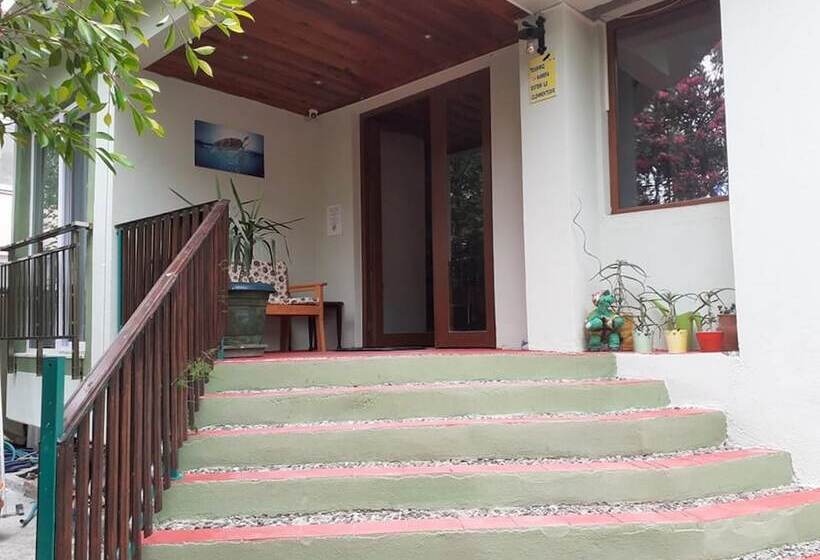 هتل Caretta Caretta