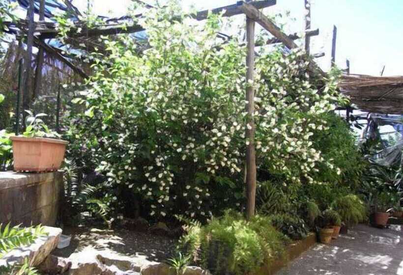 ホテル Casale Nunziatina