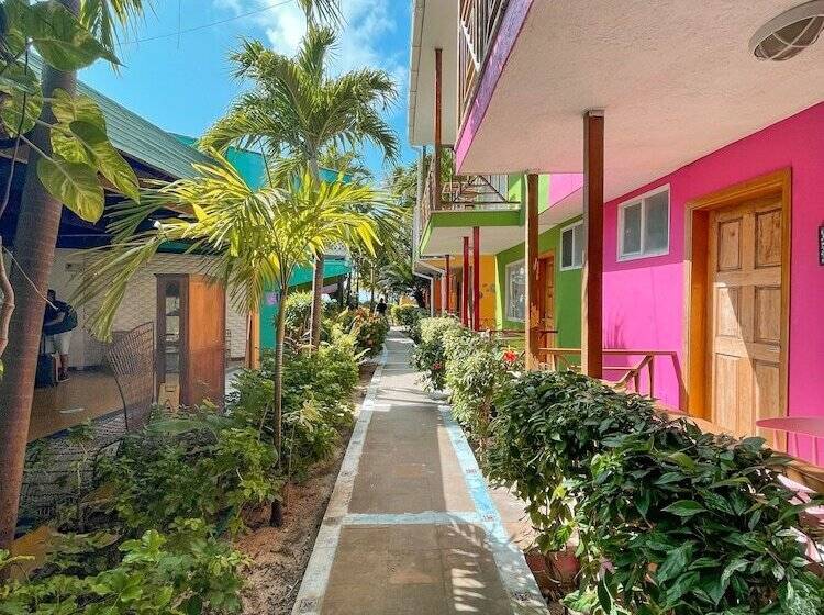 호텔 Cocoplum Beach