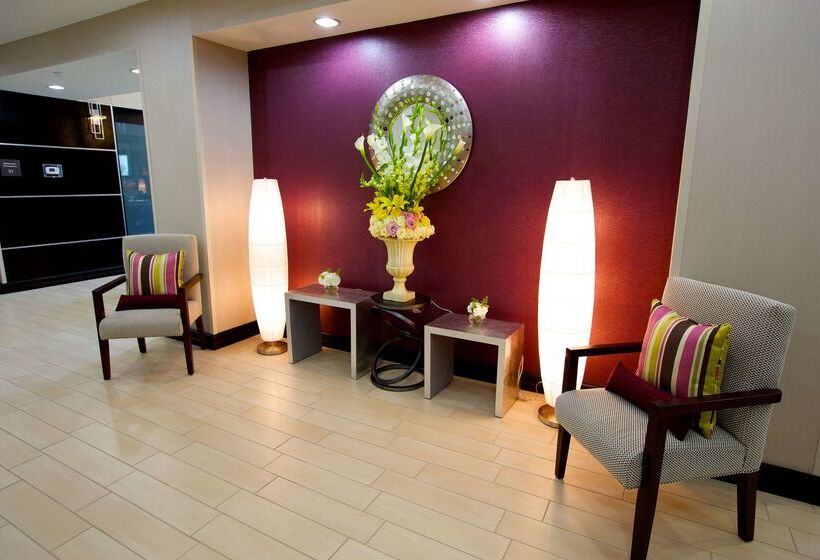 ホテル Hampton Inn & Suites Missouri City, Tx