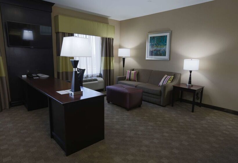 ホテル Hampton Inn & Suites Missouri City, Tx