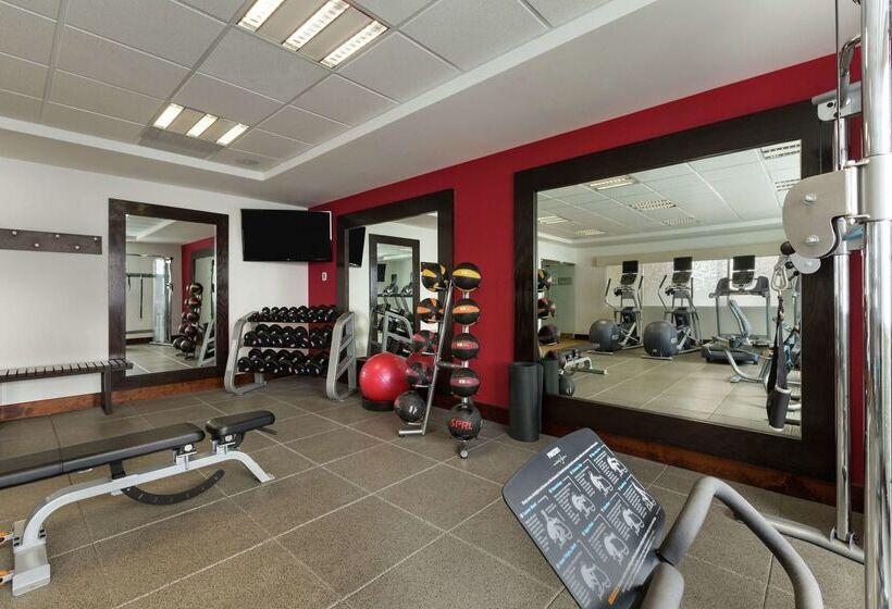 Отель Hilton Garden Inn Queretaro