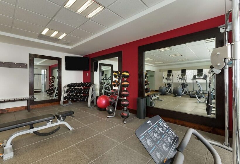 Отель Hilton Garden Inn Queretaro