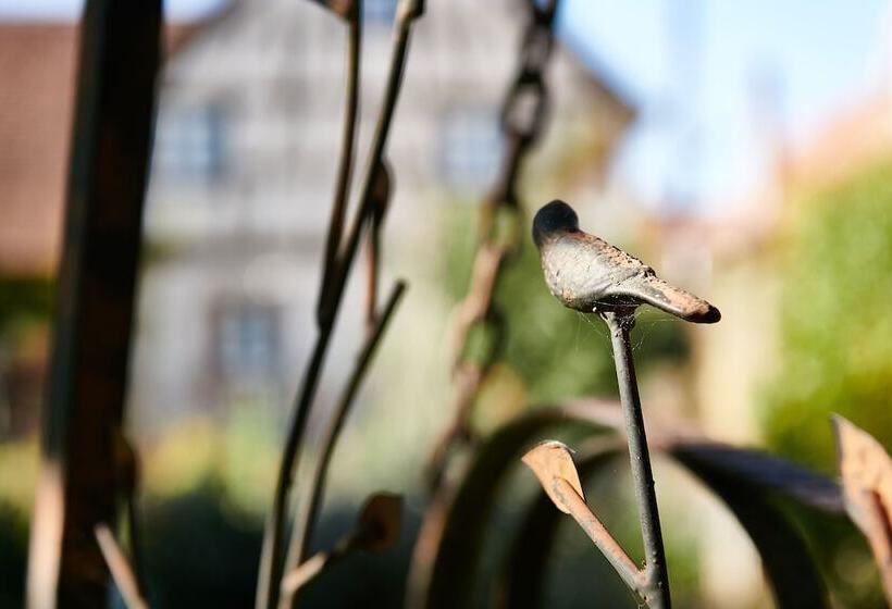 בית מלון כפרי La Cour De Lise Maison D Hôtes Et Spa