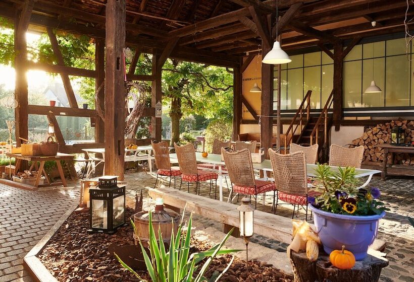 בית מלון כפרי La Cour De Lise Maison D Hôtes Et Spa