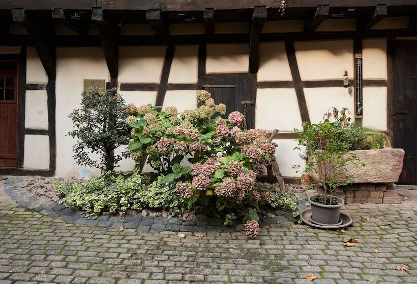 בית מלון כפרי La Cour De Lise Maison D Hôtes Et Spa