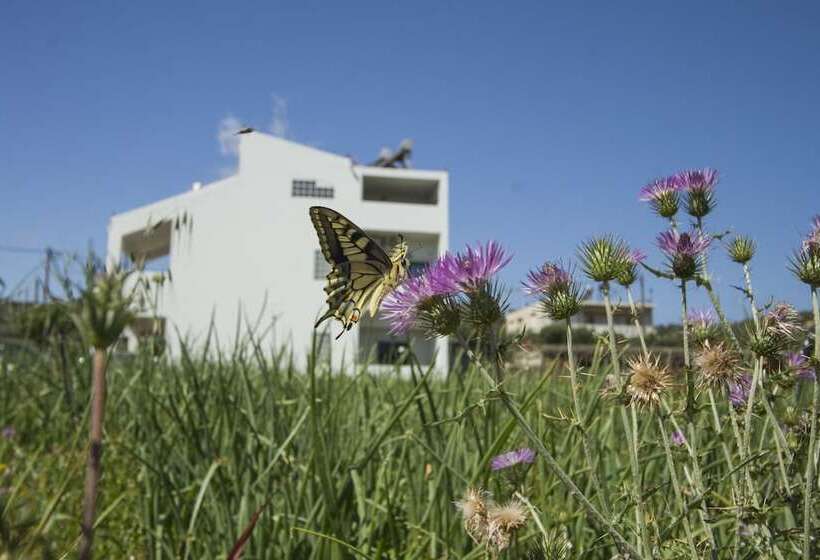 Отель Olive Tree Apartments