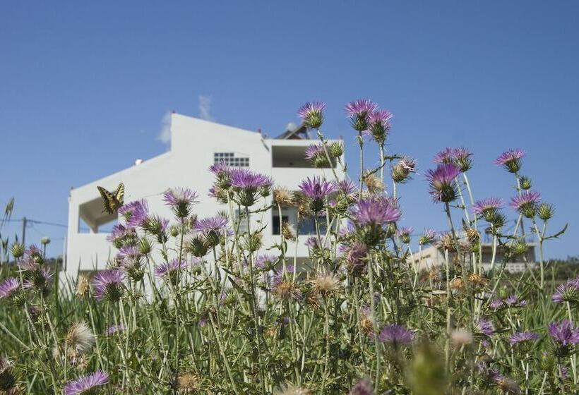 Отель Olive Tree Apartments