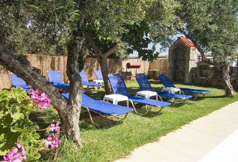 Отель Olive Tree Apartments