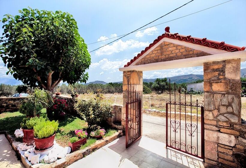 Отель Olive Tree Apartments