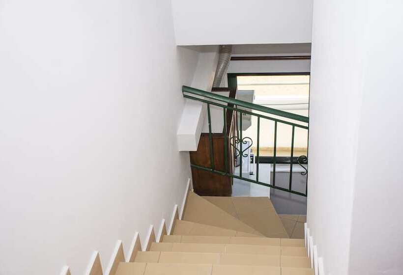 Отель Olive Tree Apartments