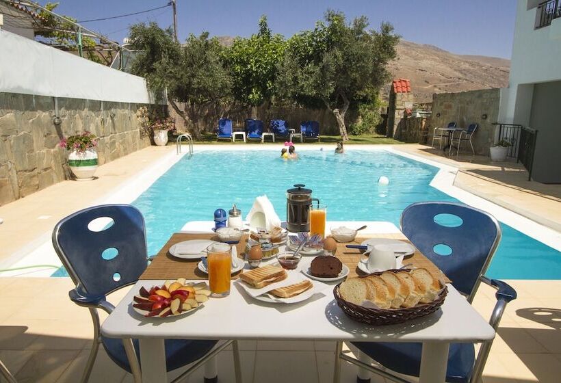 Отель Olive Tree Apartments