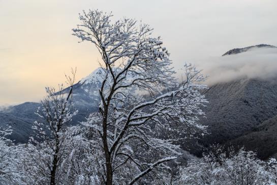 هتل Solis Sochi Suites