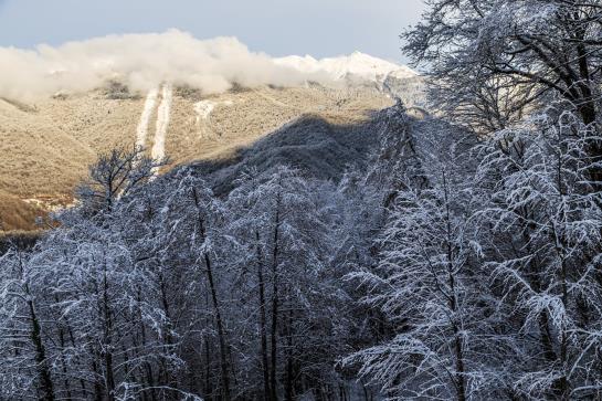 هتل Solis Sochi Suites