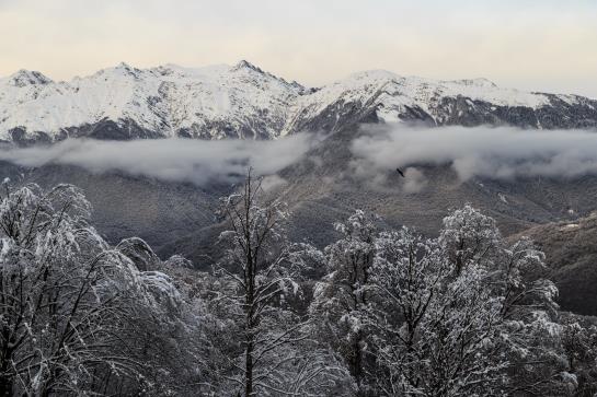 هتل Solis Sochi Suites