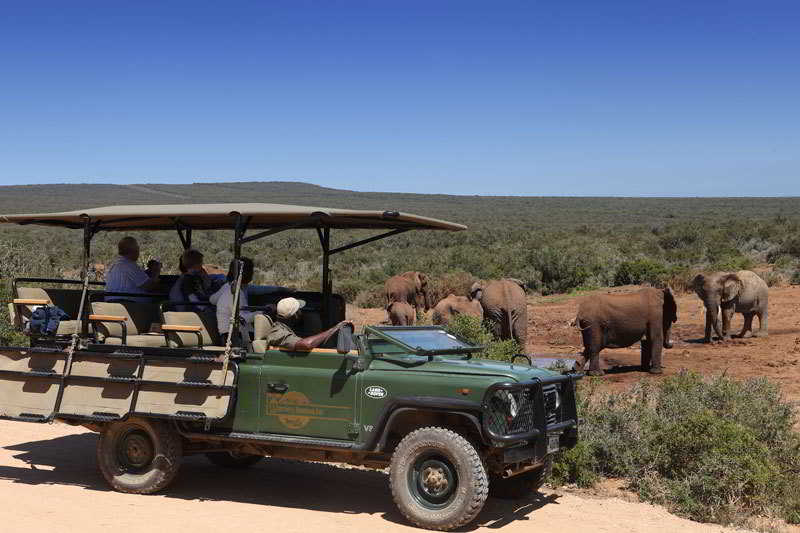 酒店 Zuurberg Mountain Village