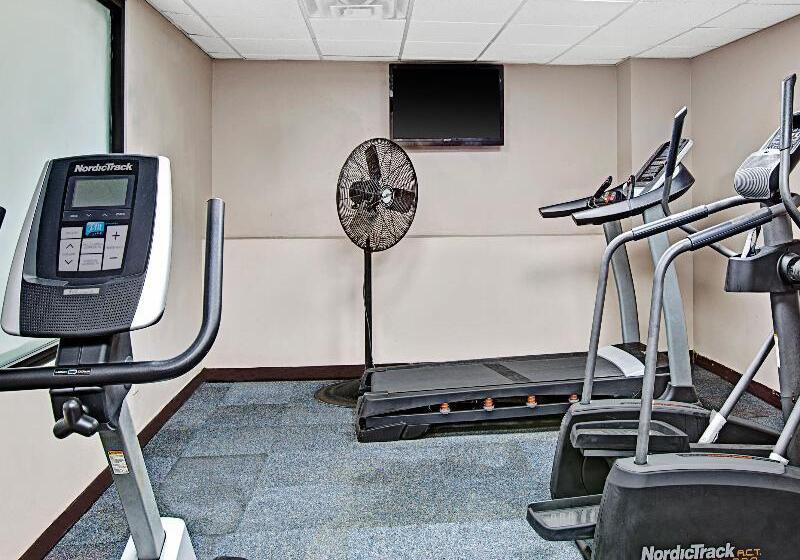 汽车旅馆 Super 8 By Wyndham Jamaica North Conduit