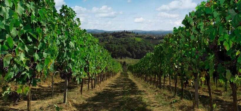 Kurort  Agriturismo Bio Fattoria Bacio