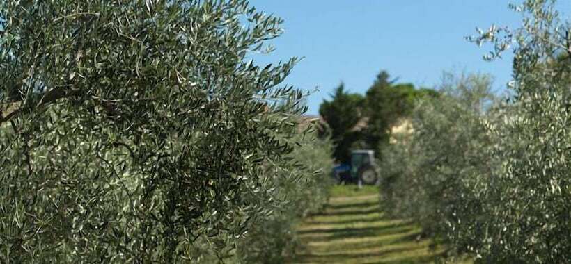 Kurort  Agriturismo Bio Fattoria Bacio
