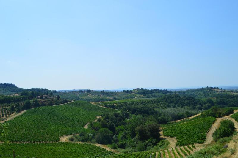 渡假胜地  Agriturismo Bio Fattoria Bacio