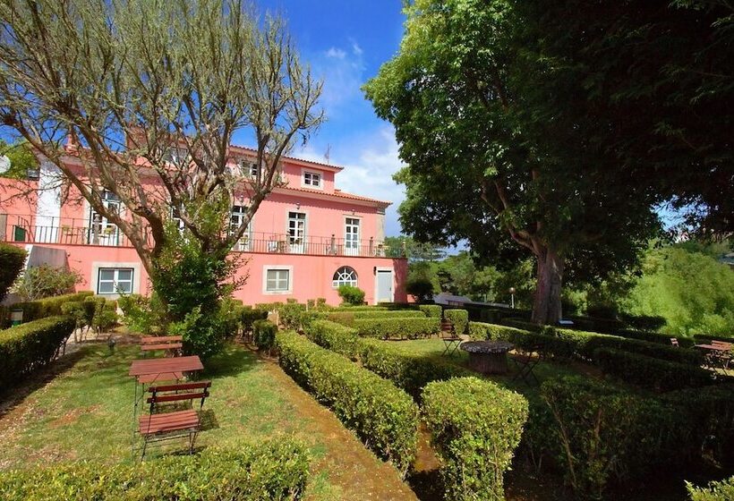 Wot Sintra Sarrazola