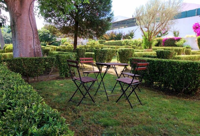 Wot Sintra Sarrazola