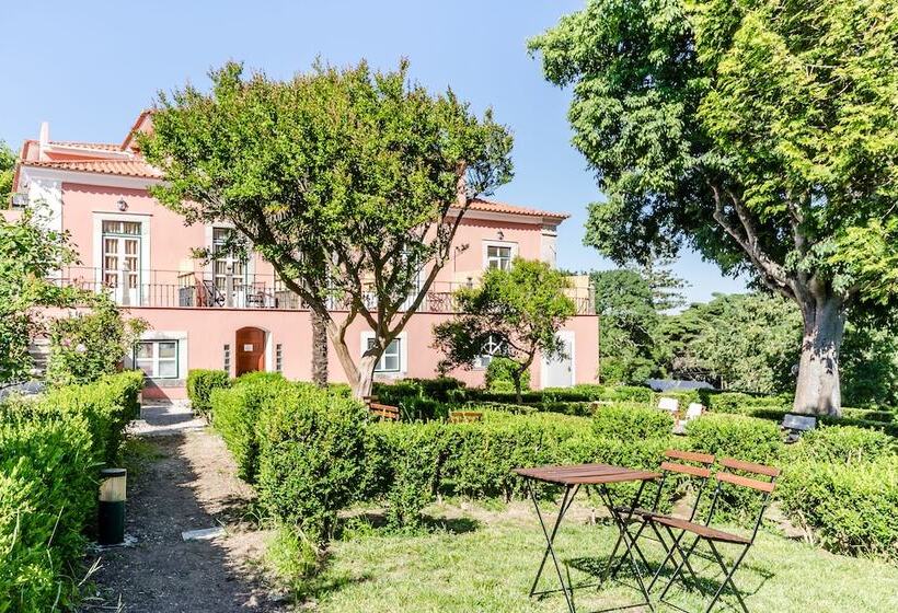 Wot Sintra Sarrazola