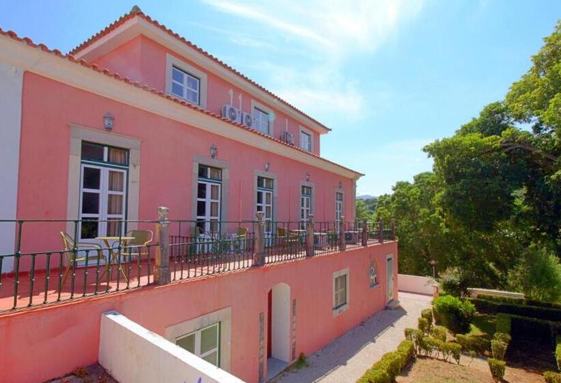 Wot Sintra Sarrazola