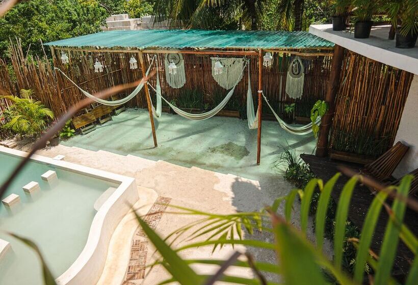 Arte Sano Hotel Only Adults   Near Beach